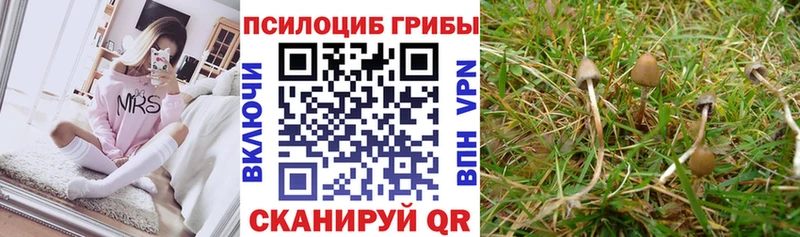 Псилоцибиновые грибы Magic Shrooms  Купить где  Ахтырский 