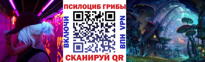 Псилоцибиновые грибы Cubensis Ахтырский